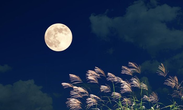 Isn’t the Moon Lovely Meaning?